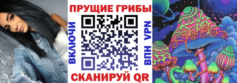 Галлюциногенные грибы мухоморы  купить  сайты  Опочка 